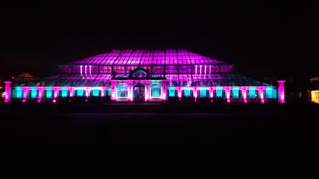 Christmas Lights in a conservatory at Kew Gardens